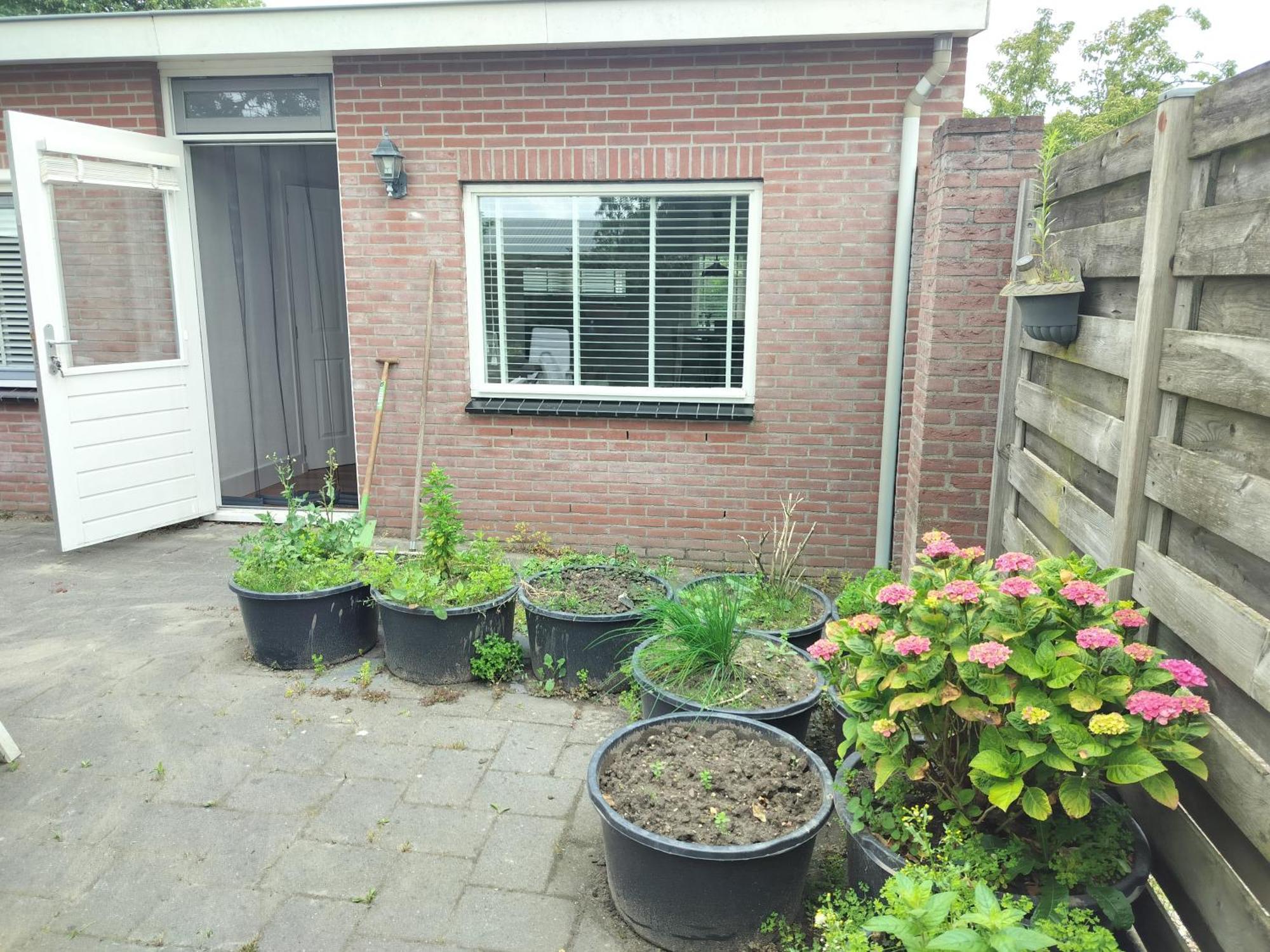 Solstice, Quiet Cottage In Bruinisse, Zeeland Exterior photo